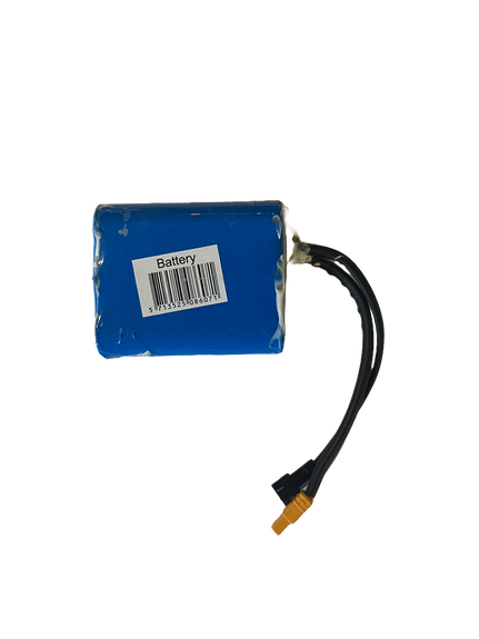 Story E-Motion Batteria Per Monopattino Elettrico Per Bambini