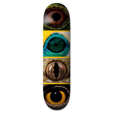 Piano del Skateboard Element 8"
