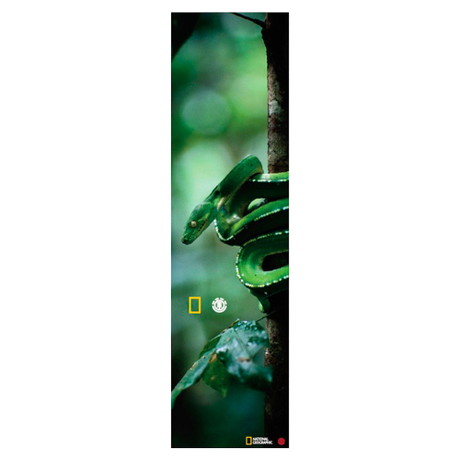 Element Griptape